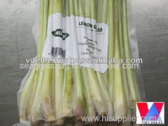 DRIED LEMONGRASS LEAVES suppliers