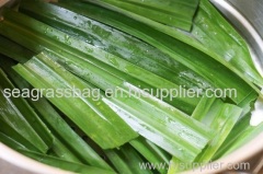 FRESH PANDANUS LEAVES suppliers