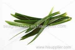 FRESH PANDANUS LEAVES suppliers