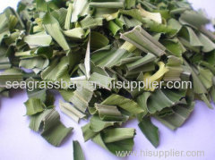 FRESH PANDANUS LEAVES suppliers