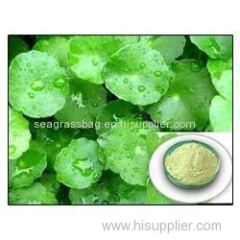 Pennywort powder Extract suppliers