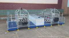 Pig galvanized Farrowing crate