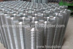 hot-dipped galvanized wire mesh