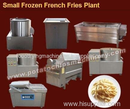 Small frozen french fries plant