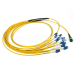 12 Fibers MPO-LC/UPC MM Fiber Optic Patch cord