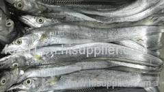 Frozen Ribbon Fish/Frozen Mackerel