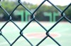 Hot selling heat treated pvc coated chain link fence