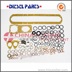 China Fuel Engine Ve Pump Distributor Repair Kit Injector Repair kit Parts