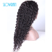 Glueless full lace human hair full lace wig curly full lace virgin hair wig for black women with baby hair