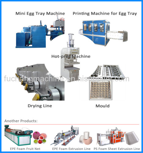 Waste Paper Pulp Moulding Machine Egg Tray Machine