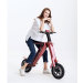 Foldable Electric Scooter Folding Electric Bicycle Adult Lithium Battery Electric Bike With Aluminum Alloy Body