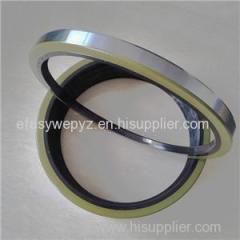 High Performance TC TB TA SA Type FKM Viton Oil Seals