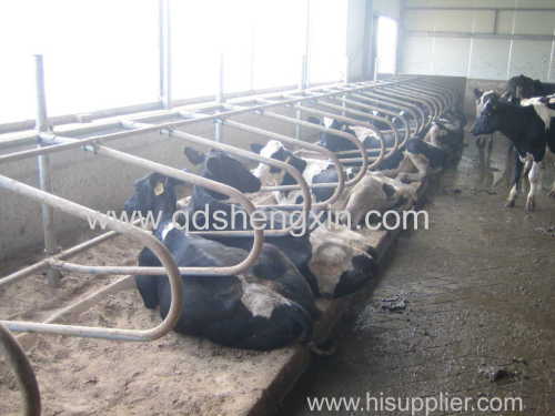 Cattle Free Stall with high quality