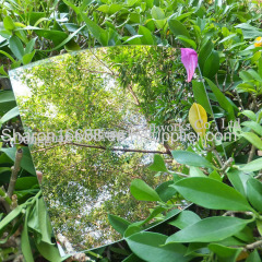 1.8*1220*1830MM Plastic Double Sided Ps plastic Mirror sheet