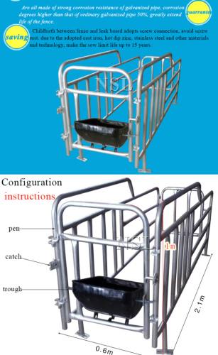 High quality hot dip galvanzied swine gestation crates
