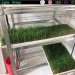 Plastic trays hydroponics trays seed trays