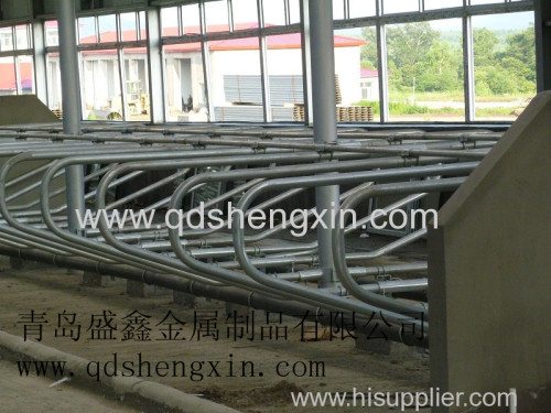 High quality cattle free stall