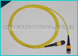 Yellow Jacket Female MPO 24 Fiber Cable Single Mode No Pin 3.0mm APC Polish