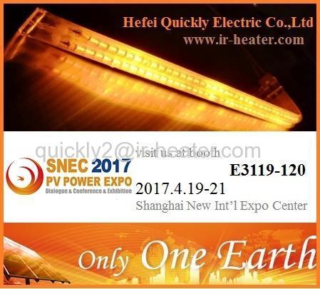 Going to meet our friends in Shanghai on solar PV show