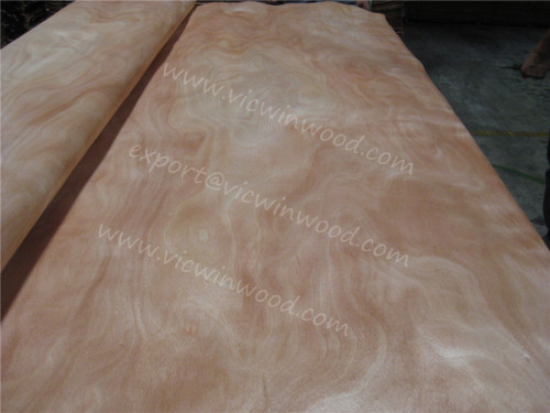 rotary cut agathis veneer