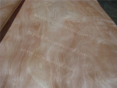 rotary cut agathis veneer