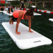 Inflatable Gym Air Tumbling Mat