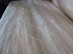 Rotary cut radiata pine veneer