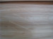 Rotary cut radiata pine veneer