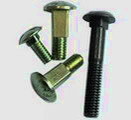 Carriage Bolts