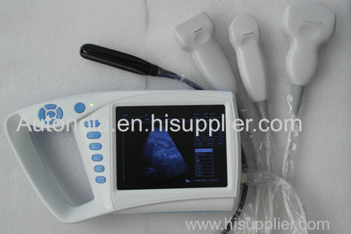 Animal ultrasound scanner transrectal probe