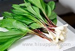 broad leaf wild ramps vegetable