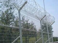 Welded razor wire fence