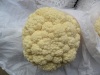 Fresh Pollution-free green health Cauliflower