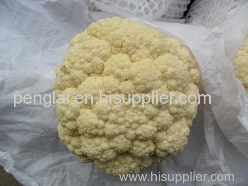 Fresh Pollution-free green health Cauliflower