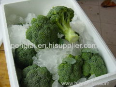 Fresh Pollution-free green health Broccoli