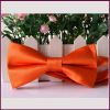 Nice Looking Dog and Cat Colorful Mini Bow Tie Pet Dog