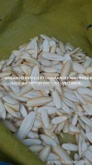 Cuttlefish Bone for sales