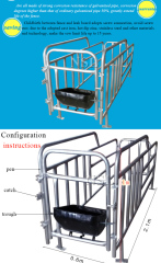 pig Gestation crate for sows with Hot dip Galvanized surface