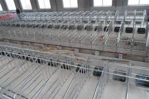 stainless steel livestock equipment pig gestation crates
