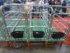 Durable gestation crate for sow rearing