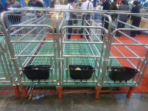 pig Gestation crate for sows with Hot dip Galvanized surface