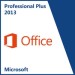 Office 2013 Professional plus COA Sticker COA Label COA License