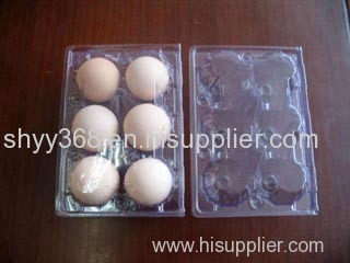 Plastic Egg Tray from Shanghai YiYou