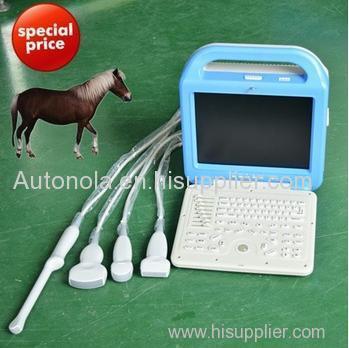 Laptop Animal Ultrasound Scanner Micro-Convex array probe