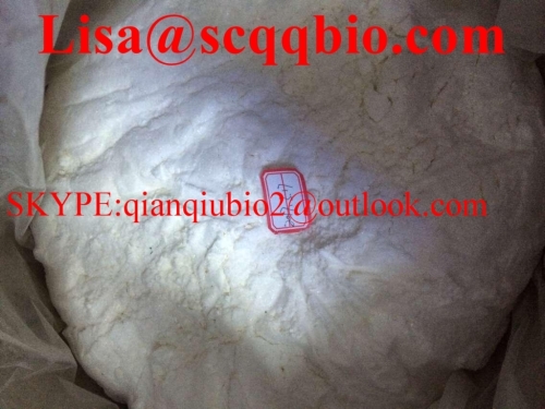 Sunitinib Malate CAS 341031-54-7 Sunitinib Malate powder Sunitinib Malate Lisa(@)scqqbio.com