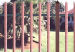 Palisade Fencing for South Africa like Durban &amp; Cape