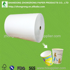 190~320gsm cup stock paper board