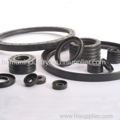 Viton Oil Seal/Rubber Oil Seal/TC Oil Seal Supplier