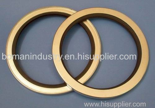 Framework Oil Seal/Rubber Oil Seal/SB Oil Seal