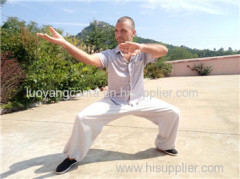 study/learn chinese Taichi kungfu in china chinese Taichi school/academy
